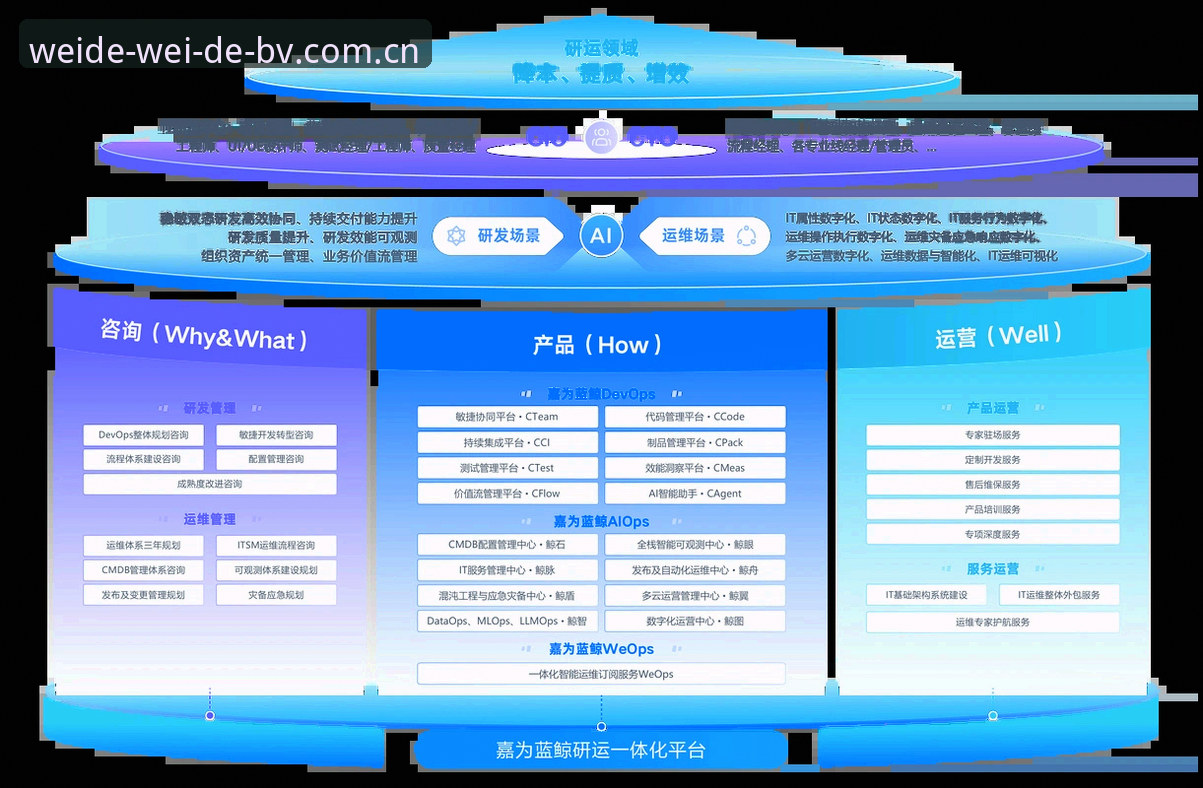 伟德高效体验 伟德官网平台全面评测:从注册到投注的高效体验深度解析